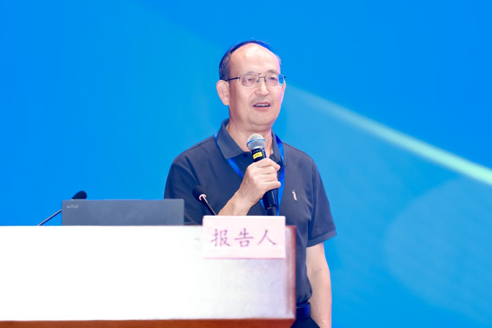 图片8