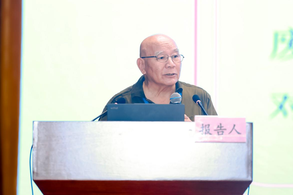 图片6